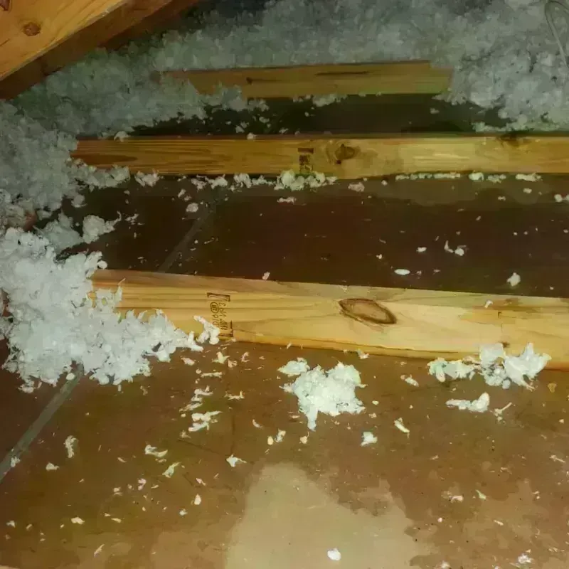 Attic Water Damage in Parma, OH