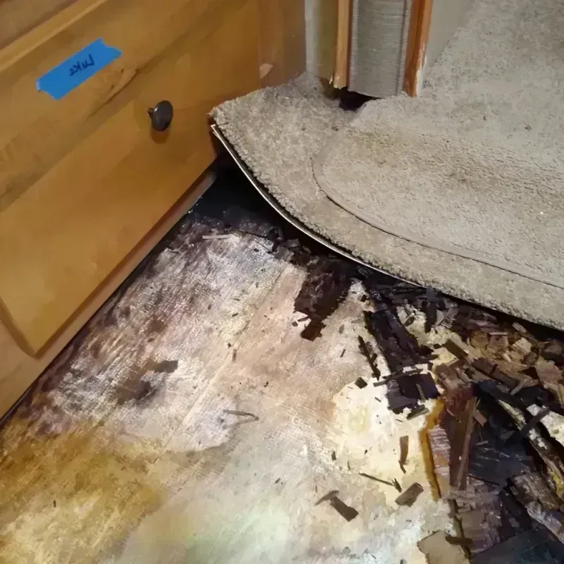 Wood Floor Water Damage in Parma, OH